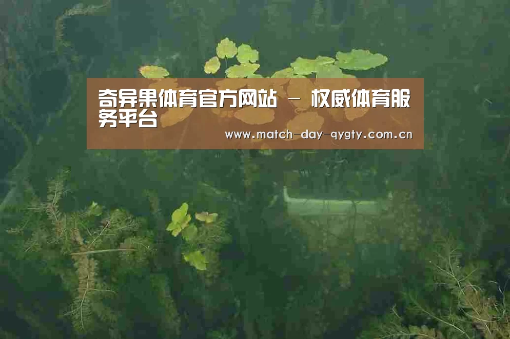 案例展示三
