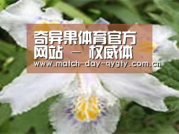 产品名称二
