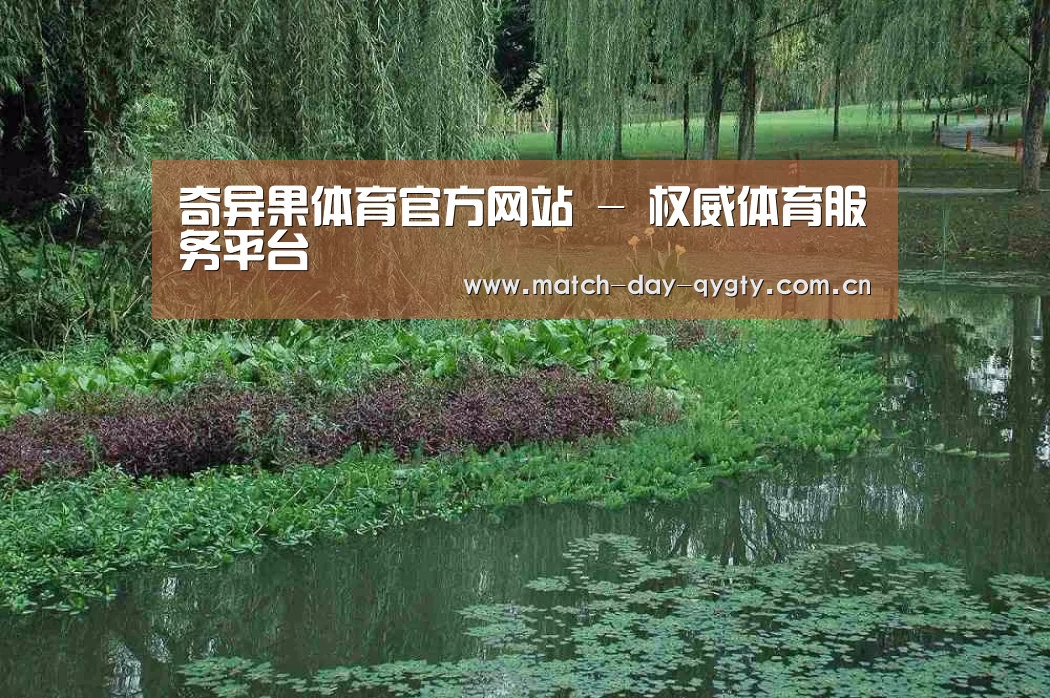 案例展示一