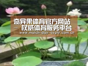 产品名称一