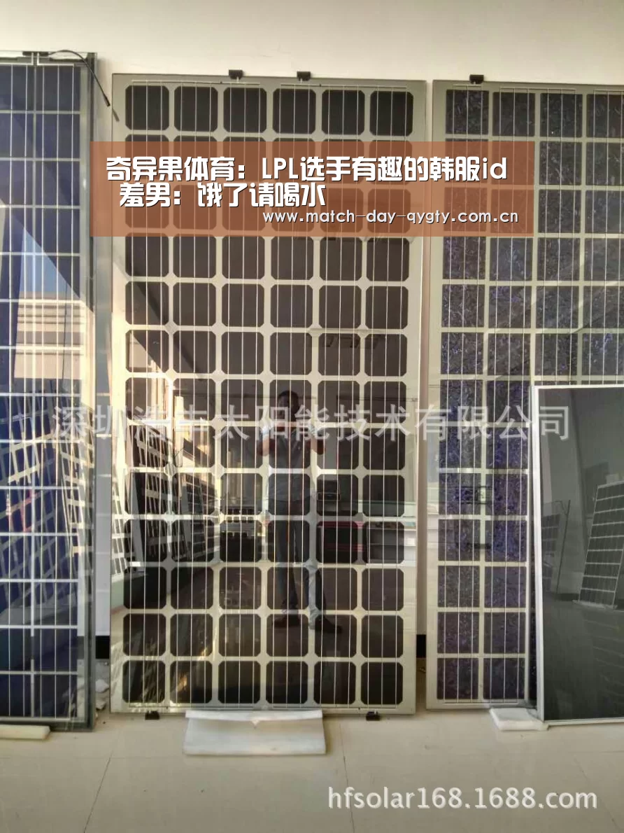 奇异果体育官网
