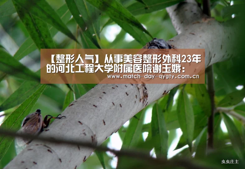 【整形人气】从事美容整形外科23年的河北工程大学附属医院谢玉娥:奇异果体育官网(图3) 奇异果体育官网