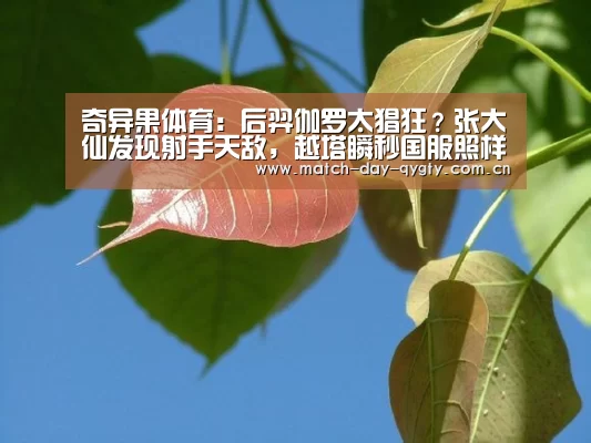 奇异果体育